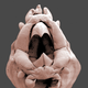 Illustration for article titled Photos of the Amazing and Gruesome World Under a Microscope